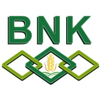 BNK Brokers logo - Similar company to Infinity Business Center