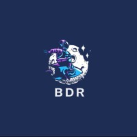 BDR Studio logo - Similar company to Desert Studio