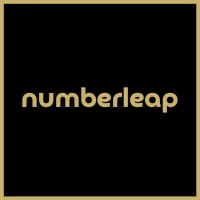 NumberLeap logo - Similar company to Ledgerpro Global