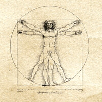 Vitruve & Associés logo - Similar company to Opaline Patrimoine