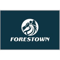 北京福睿思特国际人力资源有限公司 logo - Similar company to Forestown International Group