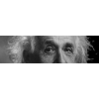 Einstein'S Alley