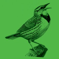 Creatures for Kamala logo - Similar company to Plazm