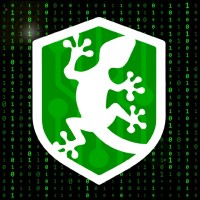 Binary Gecko logo - Similar company to Binary Geckos
