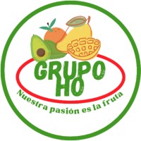 Grupo Ho logo - Similar company to Sekela Impilo Services