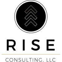 RISE Consulting logo - Similar company to Synapses Partners