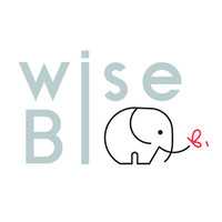 WiseBI logo - Similar company to Inquaero
