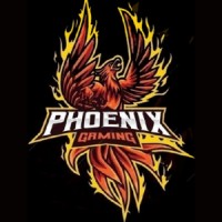 Gaming Operations (GO) Company logo - Similar company to Honshu Howl Gaming Company
