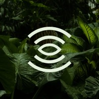Botanika logo - Similar company to Mayanor Ventures