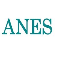 ANES - Associazione Nazionale Editoria di Settore logo - Similar company to Gmde