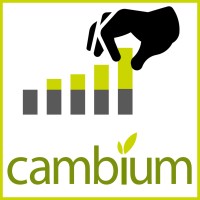 Cambium LLP logo - Similar company to Solver-Ai Ltd