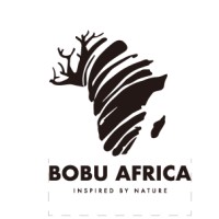 Bobu Africa logo - Similar company to Mamba Express