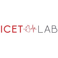ICETLAB logo - Similar company to Parsdigit
