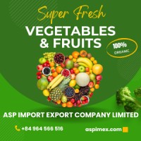 ASP Import Export Co., Ltd logo - Similar company to Frost Egypt