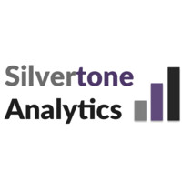Silvertone Analytics logo - Similar company to Mastermind.Com