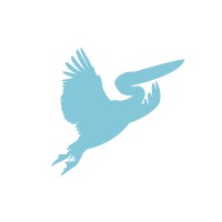 Pelicon Creative logo - Similar company to Click & Mortar