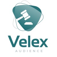 Velex Audience logo - Similar company to Ogma Intelligence