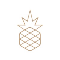 ANANAS logo - Similar company to Fited