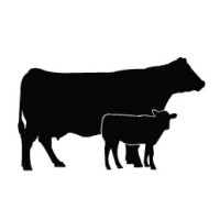 GANADERA EL ALAMO SRL logo - Similar company to Ganadera Integral Sa