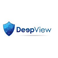 Deepview logo - Similar company to Anco Tech