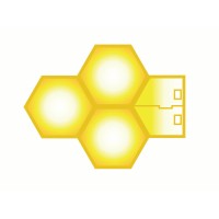 Ecustom Memory logo - Similar company to Ap Memory Technology Corp