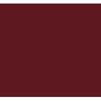 Insight Accounting & Financial Consulting, Inc. logo - Similar company to Erickson & Associates, S.C.