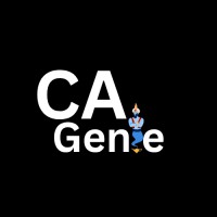 CA Genie logo - Similar company to Ca Adda