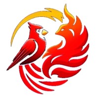 ParidaeCMD logo - Similar company to Fylon Ltd