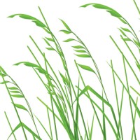 Greenfield Research and Development logo - Similar company to Evergreen Ventures, Llc
