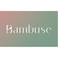 Bambuse logo - Similar company to Marginsight
