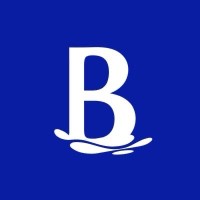 Blue-Ad Performance Agency logo - Similar company to S.N Dates Official