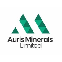 Auris Minerals Limited logo - Similar company to Codrus Minerals Limited (Asx:Cdr)