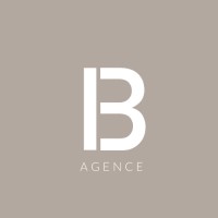 IB AGENCE logo - Similar company to Spika Solutions