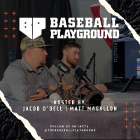 The Baseball Playground logo - Similar company to Bulls/Sox Training Academy
