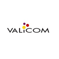 Valicom logo - Similar company to Telecomconsult - Telecom Expense Management Solutions For Business