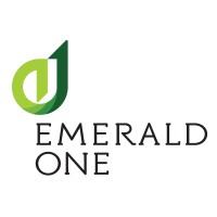 Emerald One, LLC logo - Similar company to Snaptech Gov