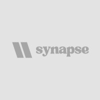 Synapse logo - Similar company to Bitecode