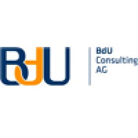Bdu Consulting Ag
