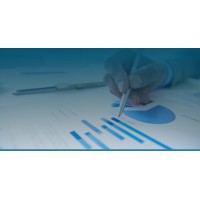 Market Insight Strategist logo - Similar company to Techforward Development
