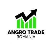 Angro Trade Romania logo - Similar company to Tech-Inferno