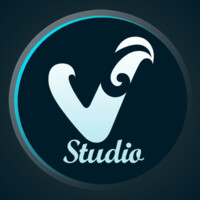 V6 Studio logo - Similar company to Hse Group Sas