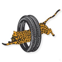 Panther Tyres Limited logo - Similar company to Servis Tyres Pvt Ltd