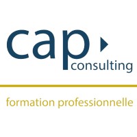 Cap Consulting logo - Similar company to Visiolang