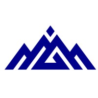 Summit Talent Solutions Inc. logo - Similar company to Ferdsilinks