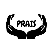 PRAIS logo - Similar company to Bronze Valley
