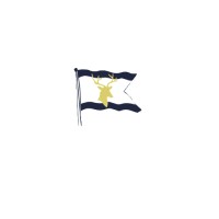 Vallar Group logo - Similar company to Razano