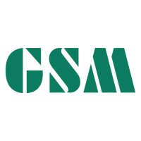 GS Medical - Medical Devices Ireland logo - Similar company to Gbuk Group