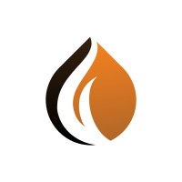 Apex Minerals logo - Similar company to Cagroup Pty Ltd (Anode Solutions)