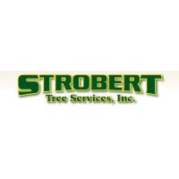 Strobert Tree Services, Inc. logo - Similar company to The Center For Respect, Inc.