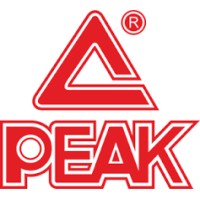 Peak solution college logo - Similar company to Peak Solutions College